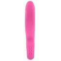 Dual vibrator petit