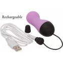 Vibrating Egg with Remote Control - Purple