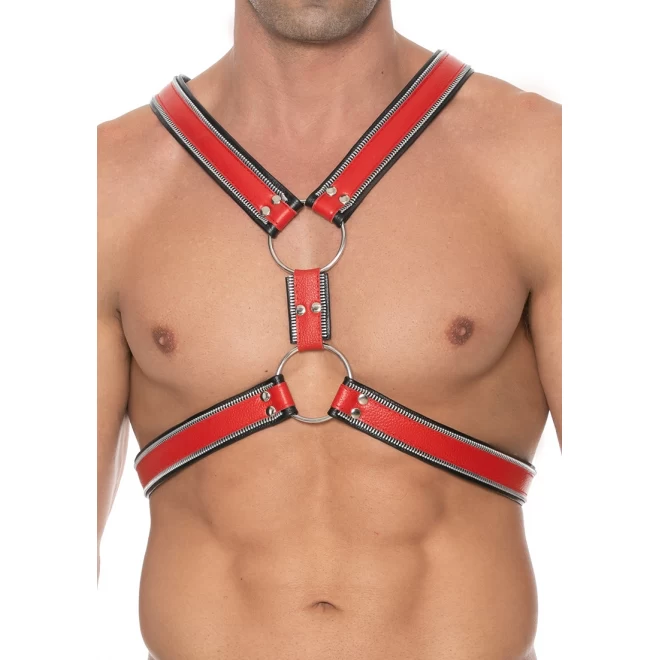 Z series scottish harness - leather