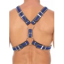 Z series scottish harness - leather