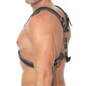 Z series scottish harness - leather