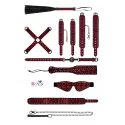 Luxury bondage kit