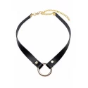 Posh pet gold ring slim choker