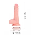Dildo Attraction Pleasure Toys