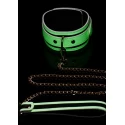 Kink in the dark glowing collar & leash