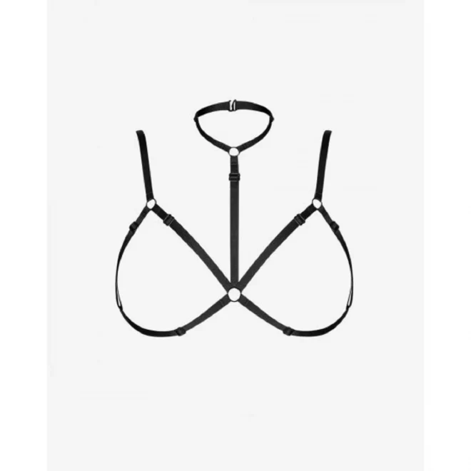 Aida body harness
