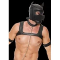 Ouch puppy play - neoprene puppy kit s/m