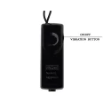 BAILE- COUPLES COLLECTION Vibration 