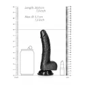 Dildo with balls and suction cup - 7''/ 18 cm