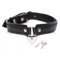 Locking heart collar