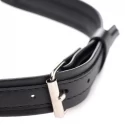 Locking heart collar