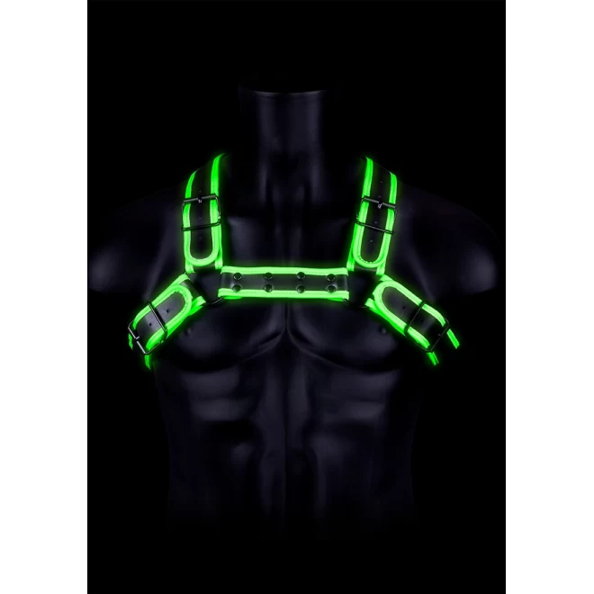 Buckle bulldog harness - gitd