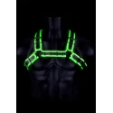 Buckle bulldog harness - gitd