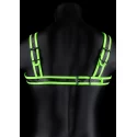 Buckle harness - glow in the dark