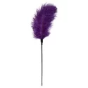 Purple Feather Tickler