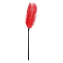 Purple Feather Tickler