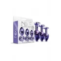 NIXIE METAL BUTT PLUG TRAINER SET