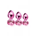 NIXIE METAL BUTT PLUG TRAINER SET