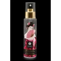 SHUNGA GENTLE TOY CLEANER 115ML