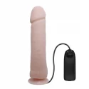 THE BIG PENIS