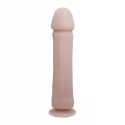 THE BIG PENIS