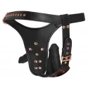 Bad kitty strapon 3d