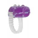 EVOLVED RING TRUE