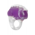 EVOLVED RING TRUE