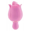 ADAM ET EVE RAVISHING CLIT FLICKING ROSE