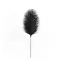 Piórko Feather Tickler