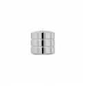 Perfumy męskie z feromonami 365 Days for Men 50ml