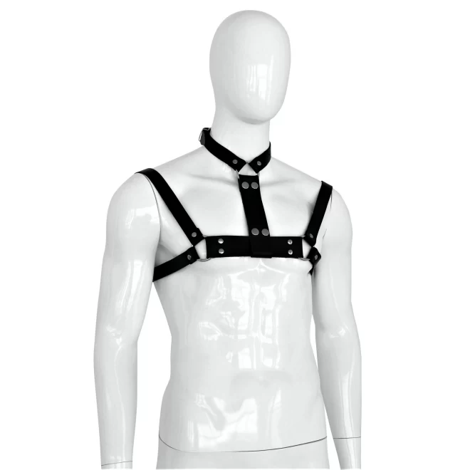 Xx-dreamstoys mÃ¤nner harness 2 ways 
