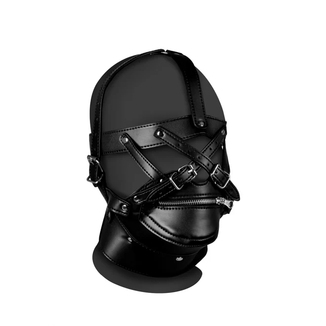 Head harness with zip-up mouth and lock