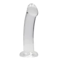 6,7'' / 17cm non realistic dildo suction cup