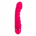 A-toys 761023 vibrator