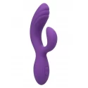 Stella C Curve